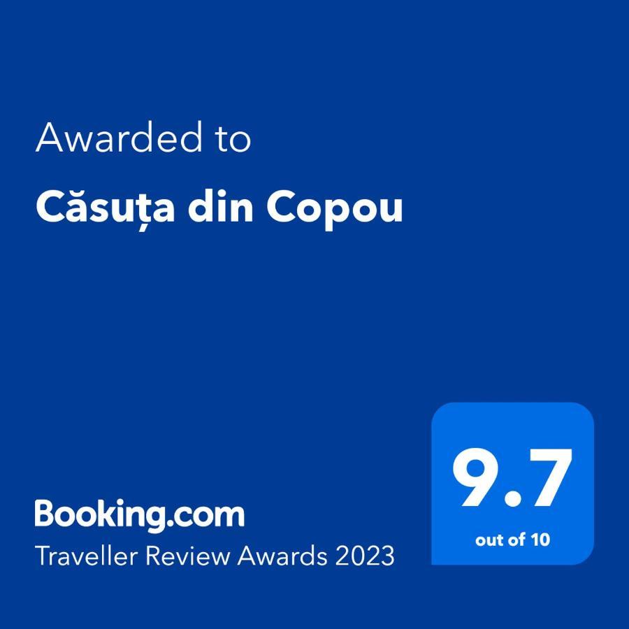 דירות יאשי Casuta Din Copou מראה חיצוני תמונה